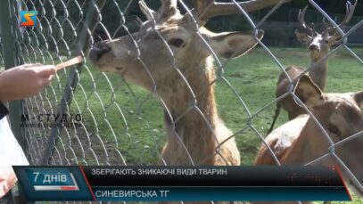 Зберігають зникаючі види тварин