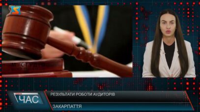 Результати роботи аудиторів