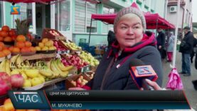 Ціни на цитрусові