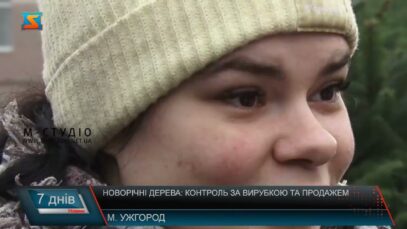 Новорічні дерева: контроль за вирубкою та продажем