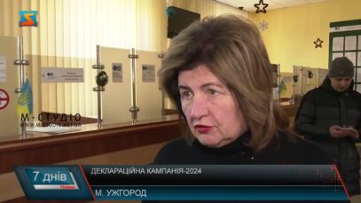 Деклараційна кампанія-20