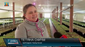 Хобі стало справою життя