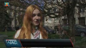 Час магнолії