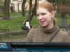 «Писанка в стилі Енді Воргола»