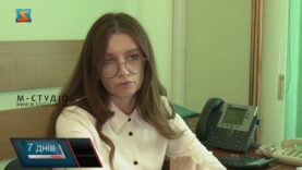 Деклараційна кампанія