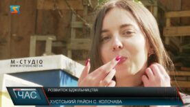 Розвиток бджільництва