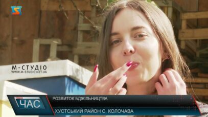 Розвиток бджільництва