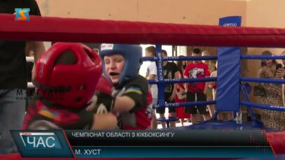 Чемпіонат області з кікбоксингу