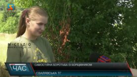 Самостійна боротьба з борщівником