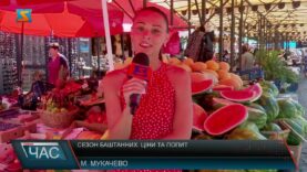 Сезон баштанних: ціни та попит