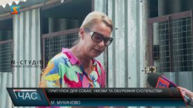 Притулок для собак. Умови та обурення суспільства