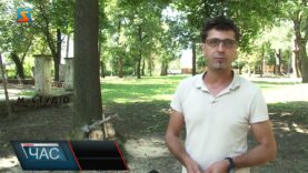 Зрубана родзинка