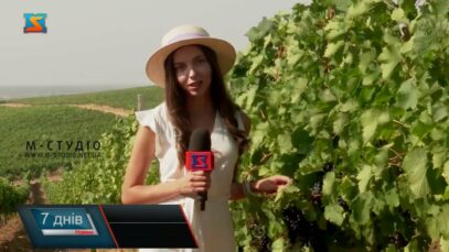 Вино – родзинка Закарпаття