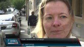 Чому зникають горобці?