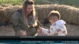 Осінній “Paradise”