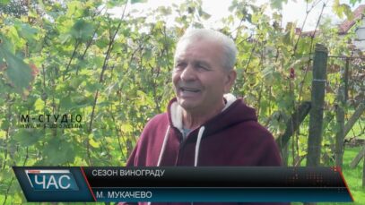 Сезон винограду