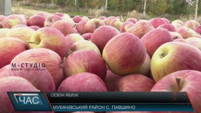 Сезон яблук