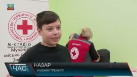 Домедична допомога