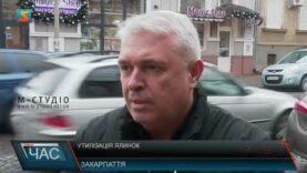 Утилізація ялинок