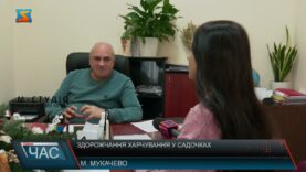 Здорожчання харчування у садочках