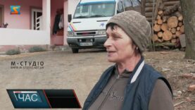 Бобри руйнують береги: закарпатці стурбовані