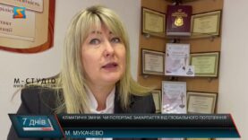 Кліматичні зміни. Чи потерпає Закарпаття від глобального потепління