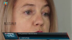 Працевлаштування ВПО