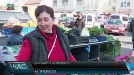 Ціни на ранню городину