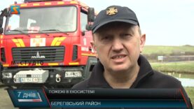 Пожежі в екосистемі