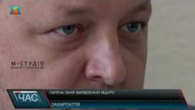 Ящур і блутанг: відкрита гаряча лінія