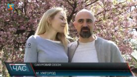 Сакуровий сезон