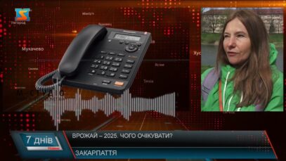 Врожай – 2025. Чого очікувати?