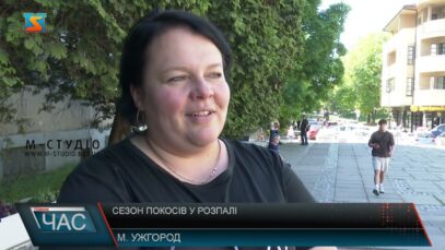 Сезон покосів у розпалі