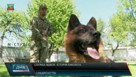 Служба вдвох. Історія кінолога