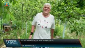 Екзотичний сад у власному дворі