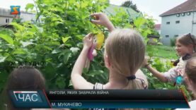 Янголи, яких забрала війна