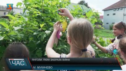 Янголи, яких забрала війна