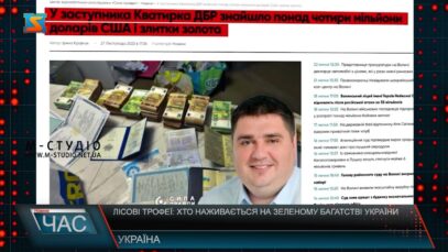 Лісові трофеї: хто наживається на зеленому багатстві України