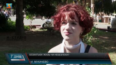 Безхатьки: жаль чи небезпека