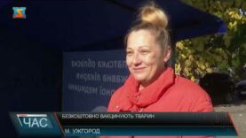 Безкоштовно вакцинують тварин