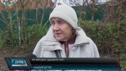 Як вигідно здавати паї?