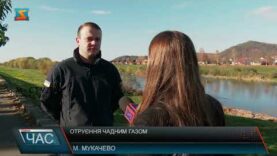 Отруєння чадним газом