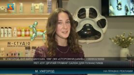 Pet Joy: другий грумінг салон для пухнастиків