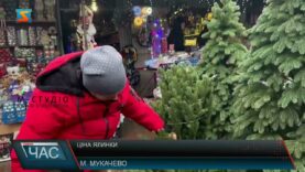 Ціна ялинки
