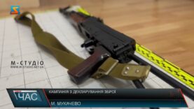 Кампанія з декларування зброї