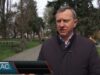 Садять дерева