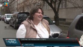 Сакури: на низькому старті