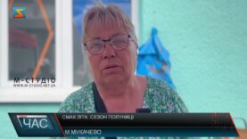 Смак літа. Сезон полуниці