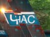 Дуб за безцінь