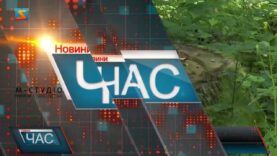 Дуб за безцінь